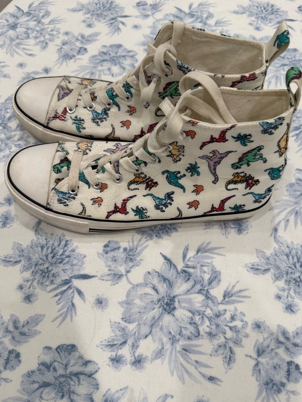 Dinosaur Sneakers